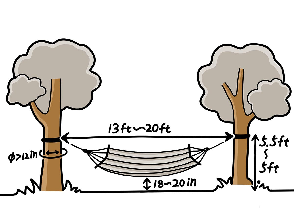 Diagram showing the dimensions for setting up a hammock between two trees.