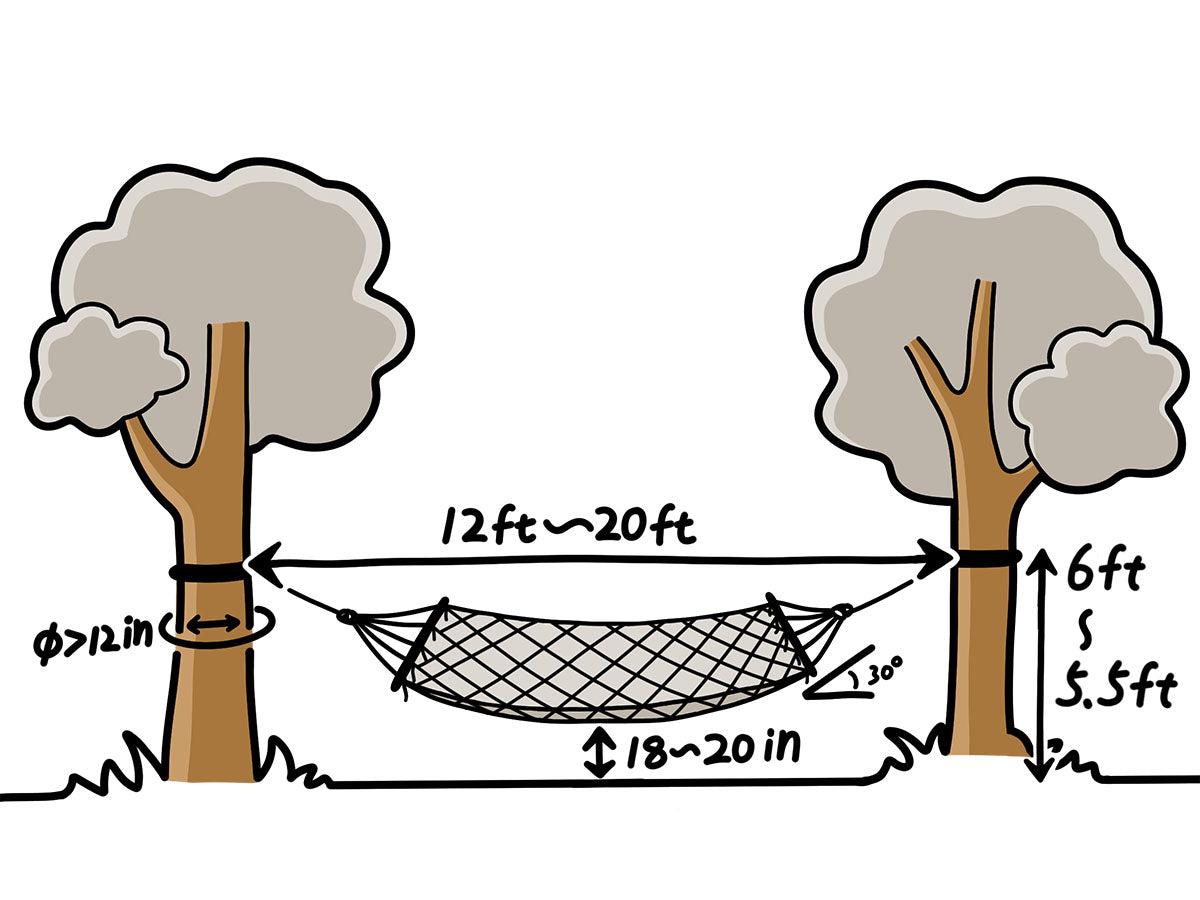 Diagram of a hammock setup between two trees with measurements.