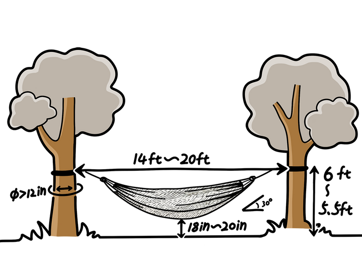 Diagram of a hammock between two trees with measurements